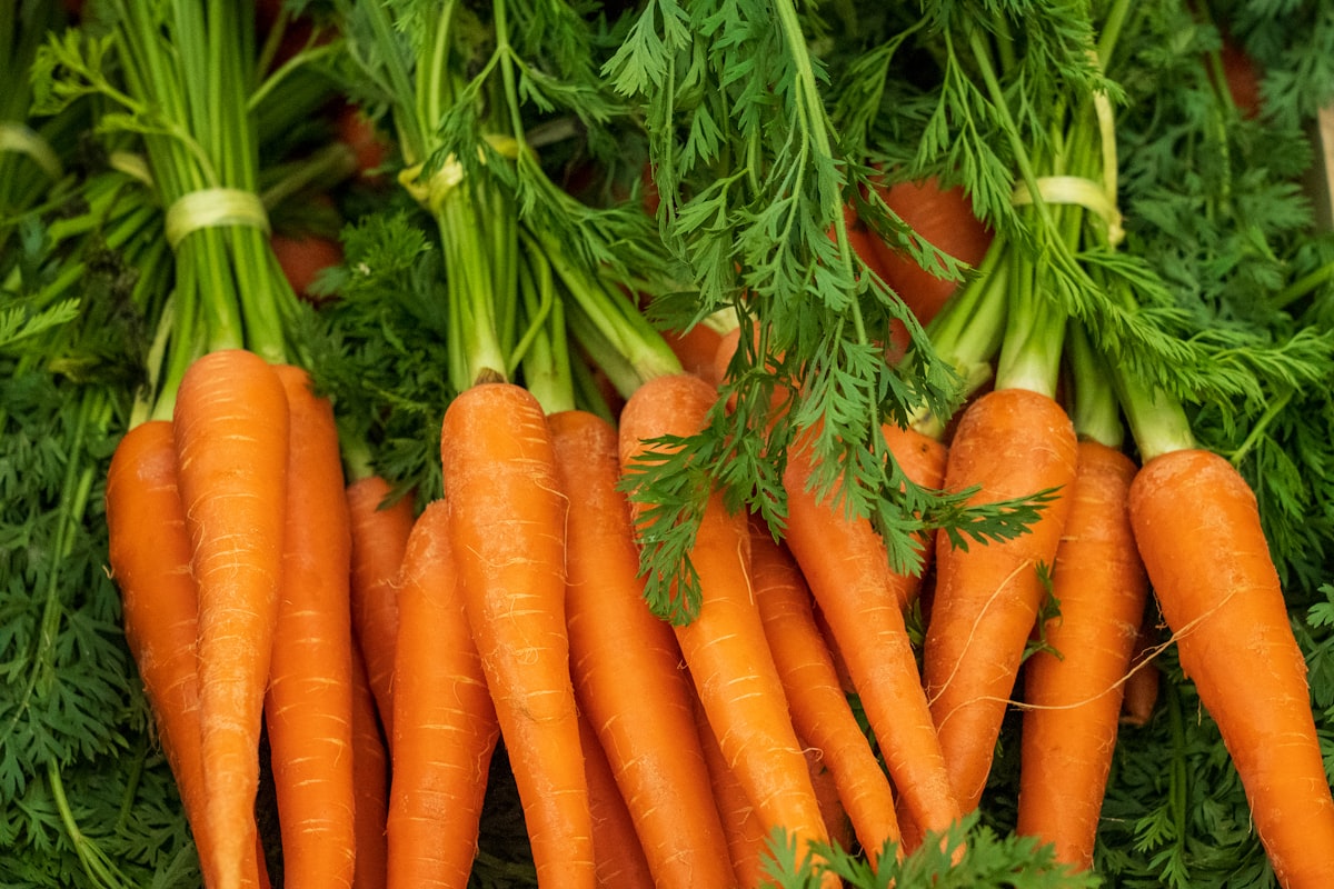 Antioxidánsok szerepe a szemegészségben